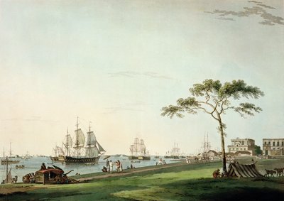 View Taken on the Esplanade, Calcutta, plate I from 